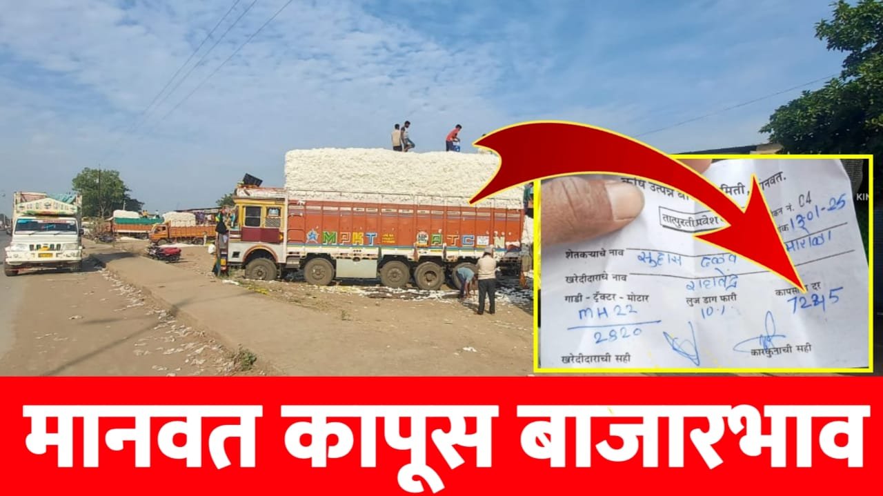 मानवत कापूस बाजारभाव
